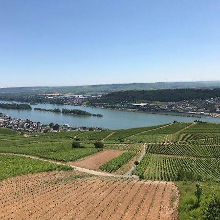 Ruedesheimer Wohlfuehloase Rüdesheim am Rhein Kültér fotó