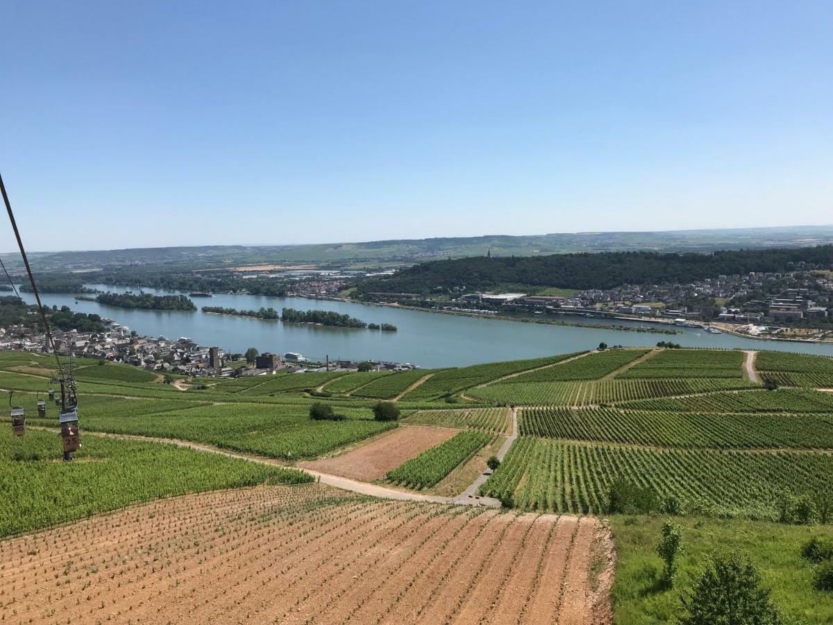Ruedesheimer Wohlfuehloase Rüdesheim am Rhein Kültér fotó