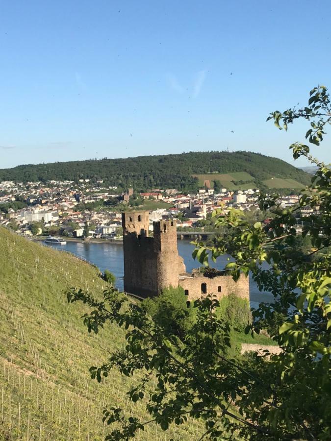 Ruedesheimer Wohlfuehloase Rüdesheim am Rhein Kültér fotó